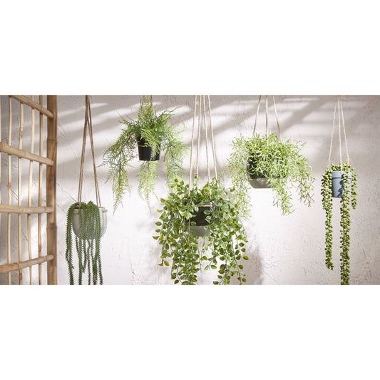 Waarom een kunst hangplant van Honeybee Living een slimme keuze is 🌿