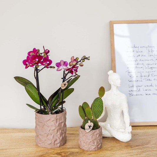 🌸 Moederdag Cadeautips: Geef Stijl en Warmte met Unieke Woonaccessoires