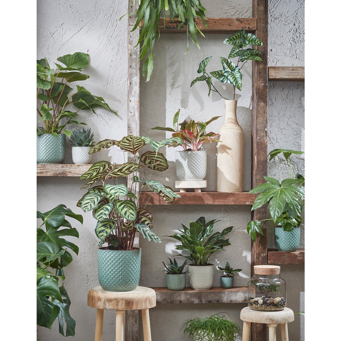 Lente-opfrisser: Zo geef je je interieur een frisse en groene touch!