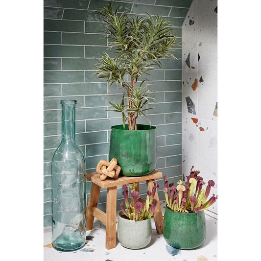 🌿 Planten & Potten per Interieurstijl: Welke Match Past bij Jou?