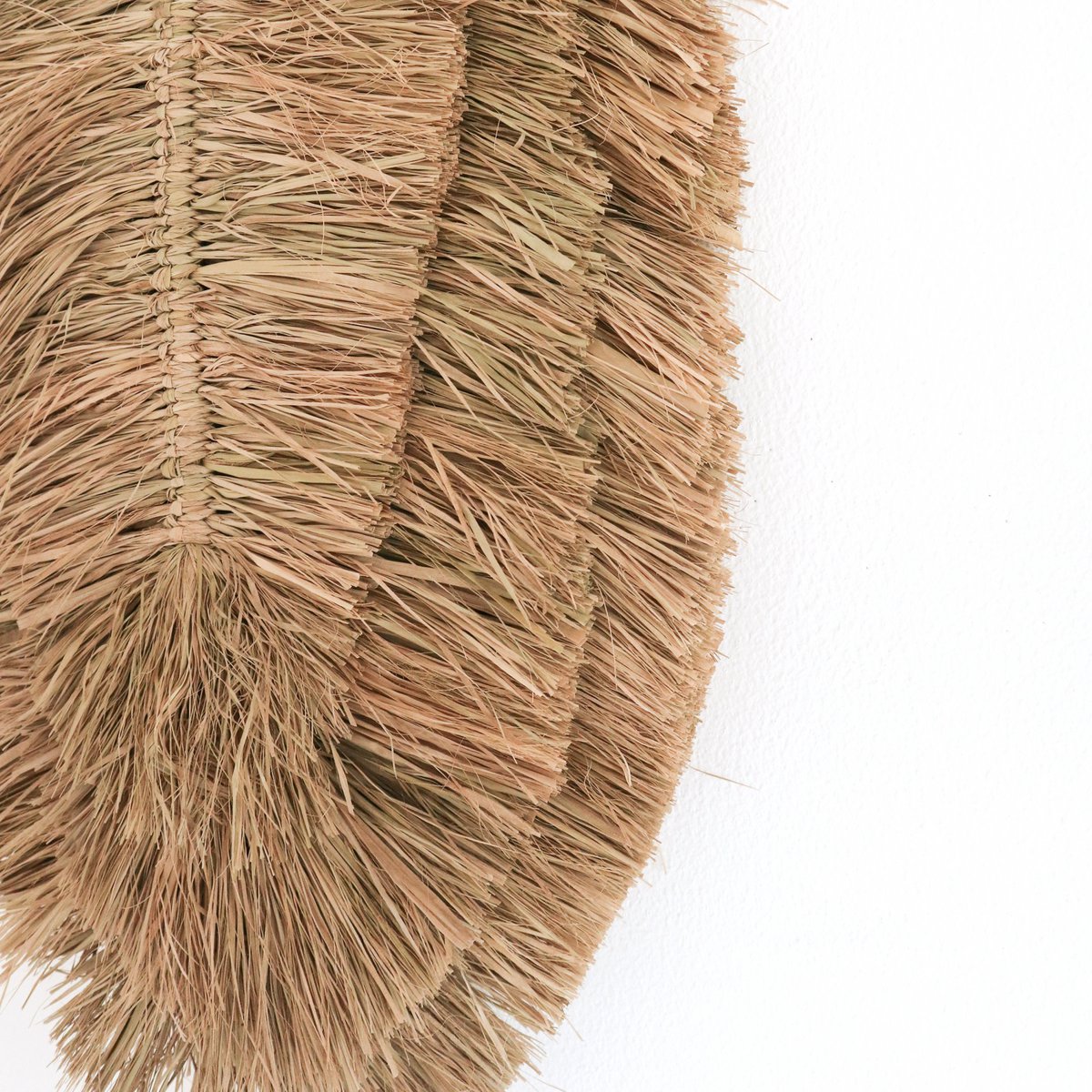 Tipi Tropisch Wanddecor Bladvormig Handgeweven van Raffia