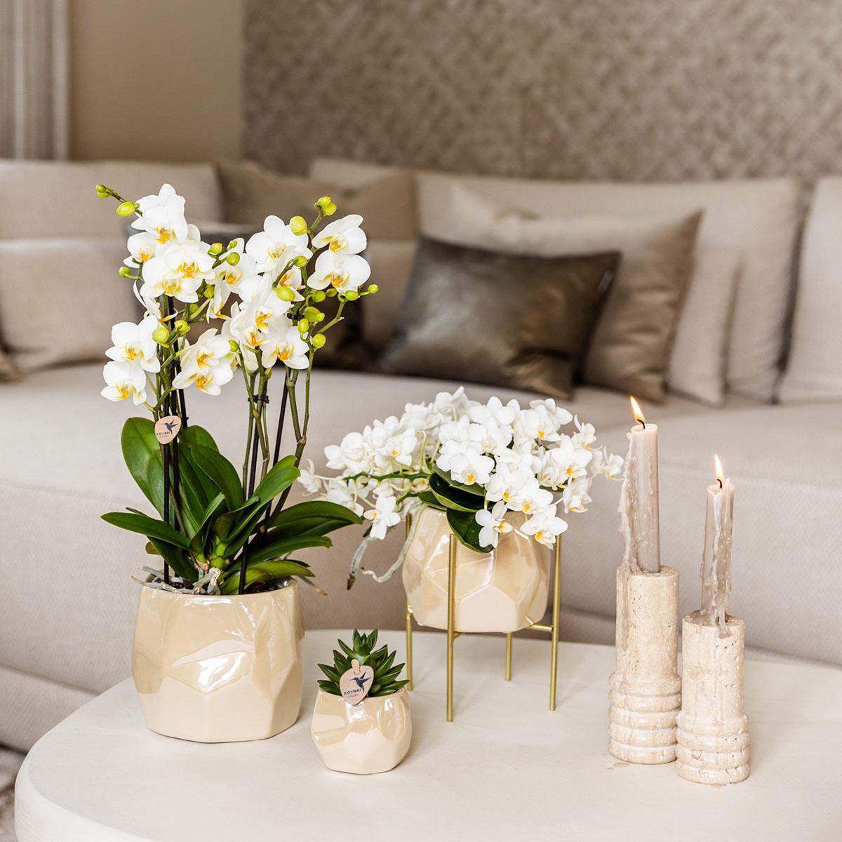 Trio Set Diamond travertine Sierpot