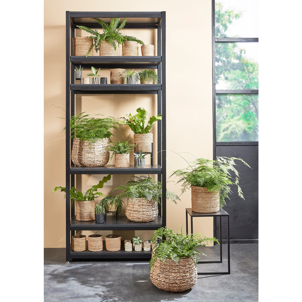 Flora Plantenstandaard XL L38 x B38 x H40cm Metaal Zwart