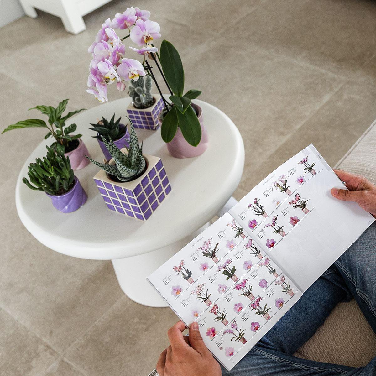 Lilac Cube Canvas Keramiek sierpot Ø9