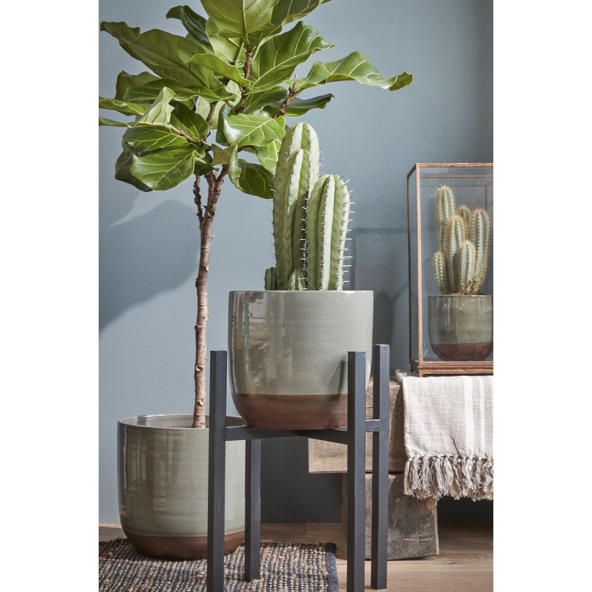 Flora Plantenstandaard XL L42 x B42 x H50 cm Metaal Zwart