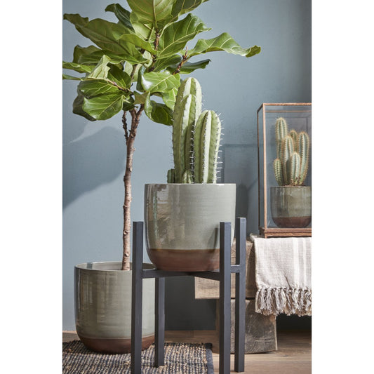 Flora Plantenstandaard XL L42 x B42 x H50 cm Metaal Zwart