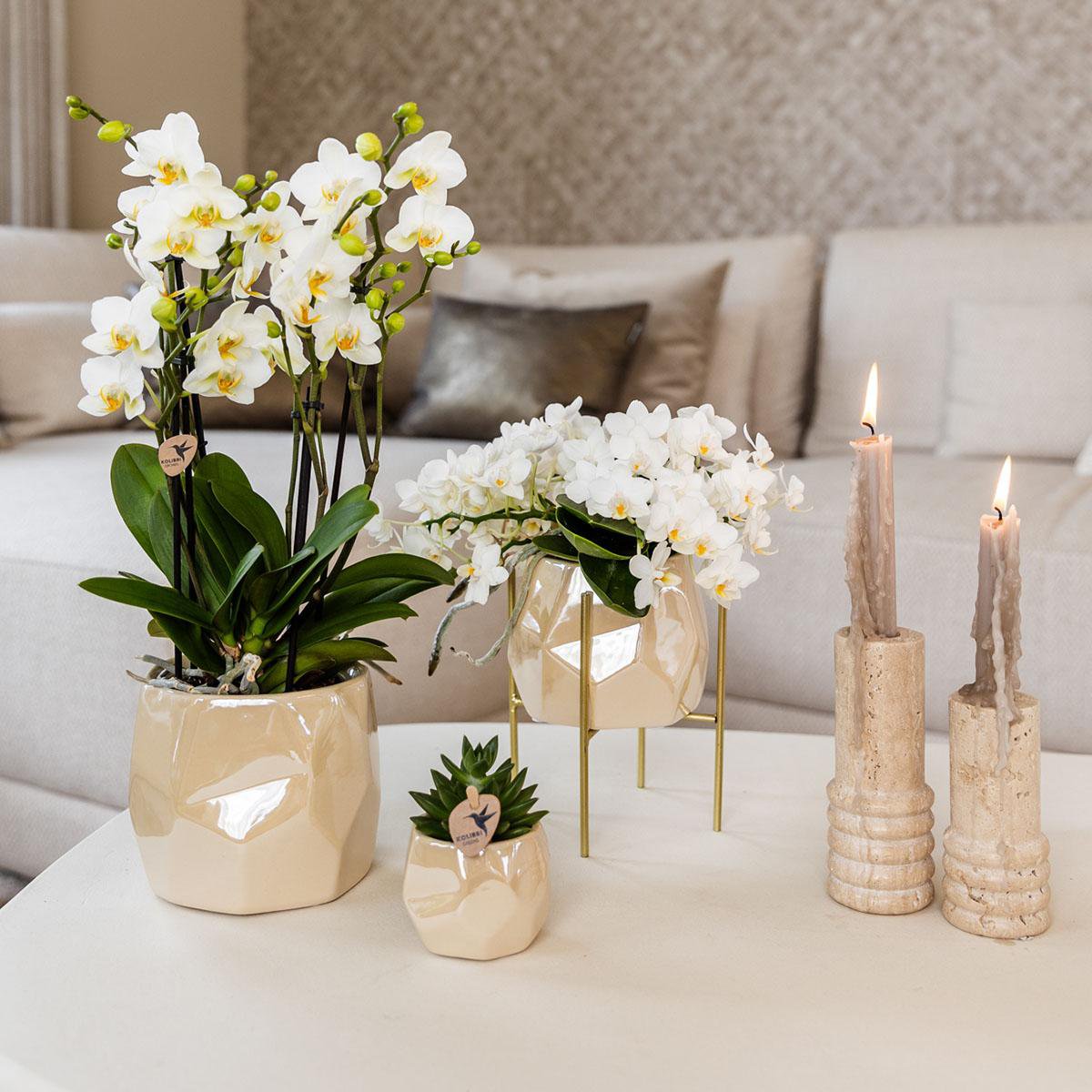 Trio Set Diamond travertine Sierpot