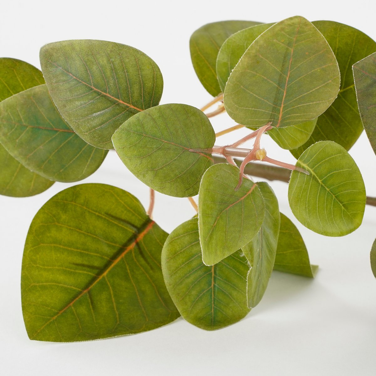 Eucalyptus Kunstplant L12 x B28 x H64 cm Groen