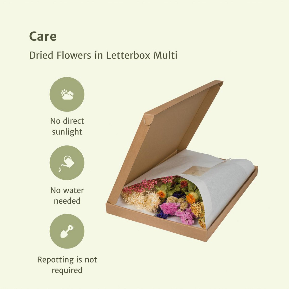 Droogbloemen Brievenbuspakket gekleurd multi