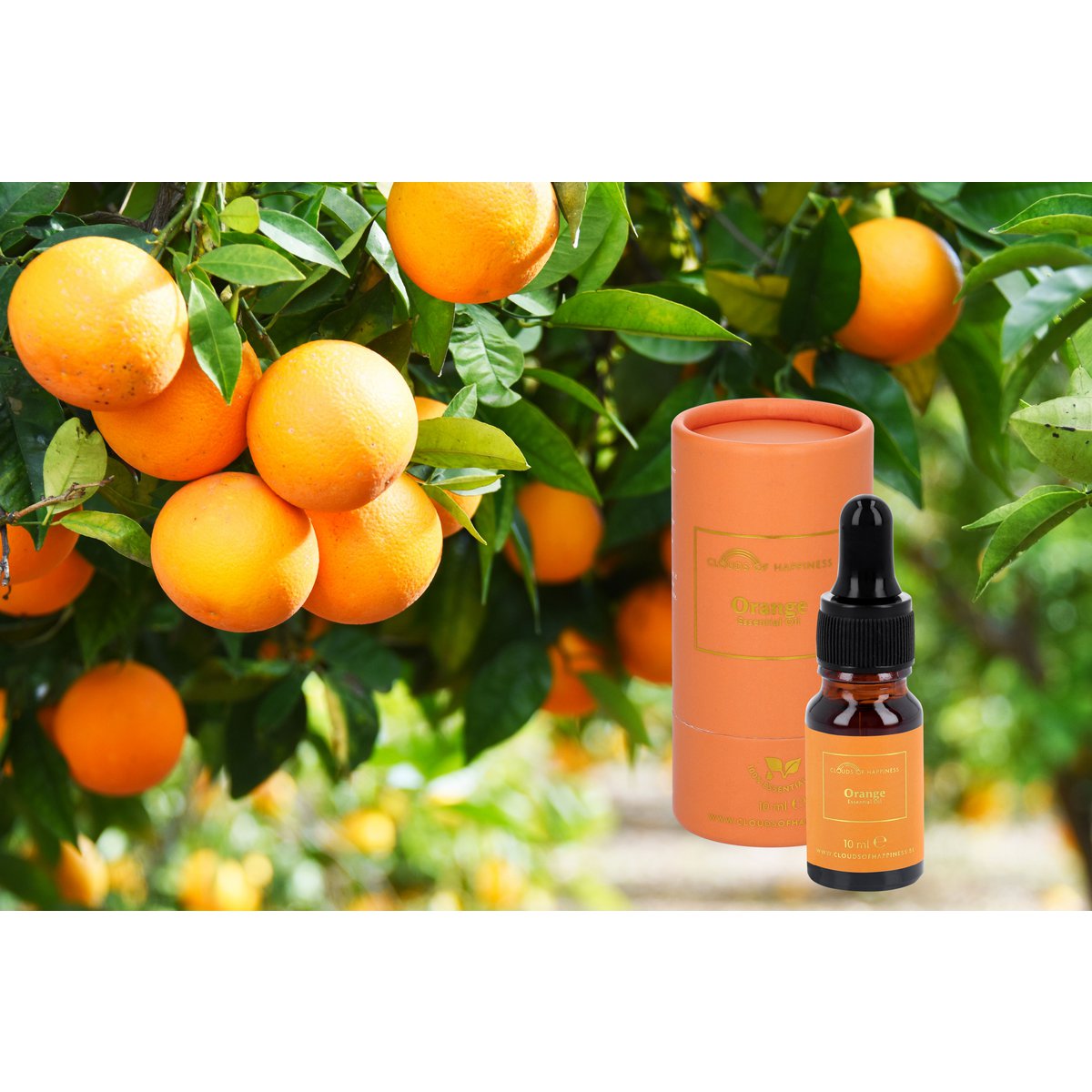 Set van 3 Essential Oils Eucalyptus + BIO Lavender + Orange