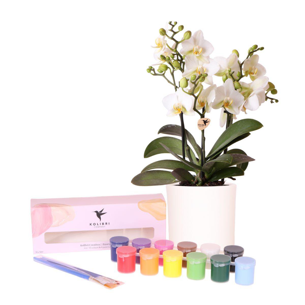 Schilder Verfpakket van 4 bloempotten + orchideeën voor 4 personen