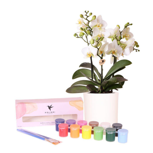 Schilder Verfpakket van 4 bloempotten + orchideeën voor 4 personen