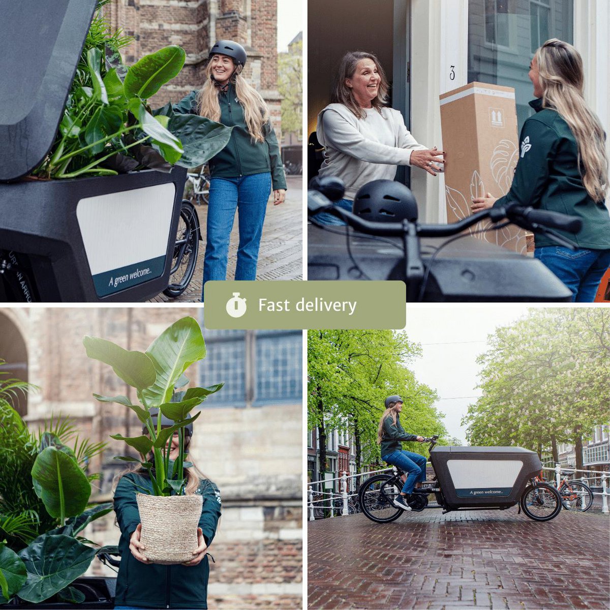 Droogbloemen Brievenbuspakket multi natuurlijk