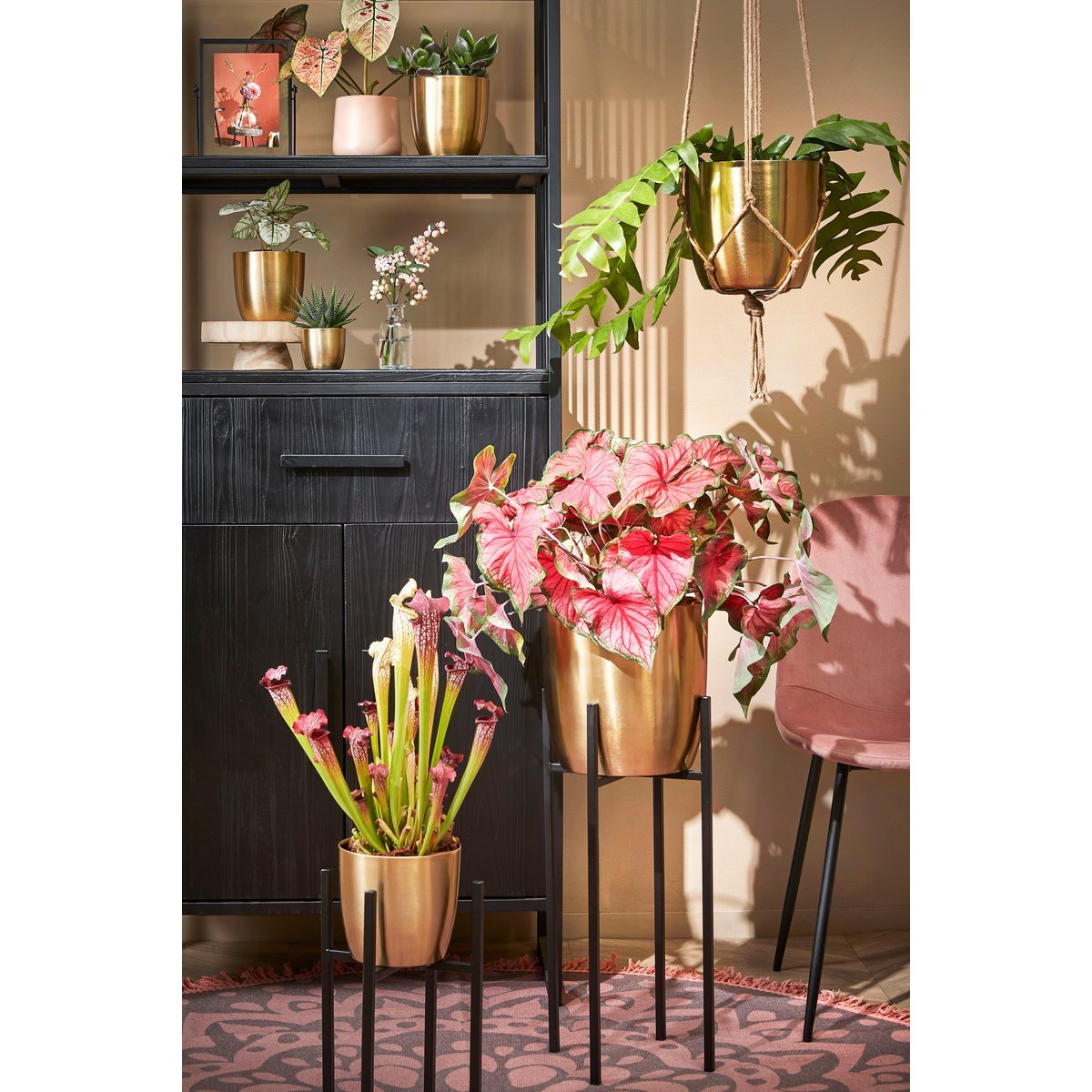Flora Plantenstandaard XL L34 x B34 x H71 cm Metaal Zwart