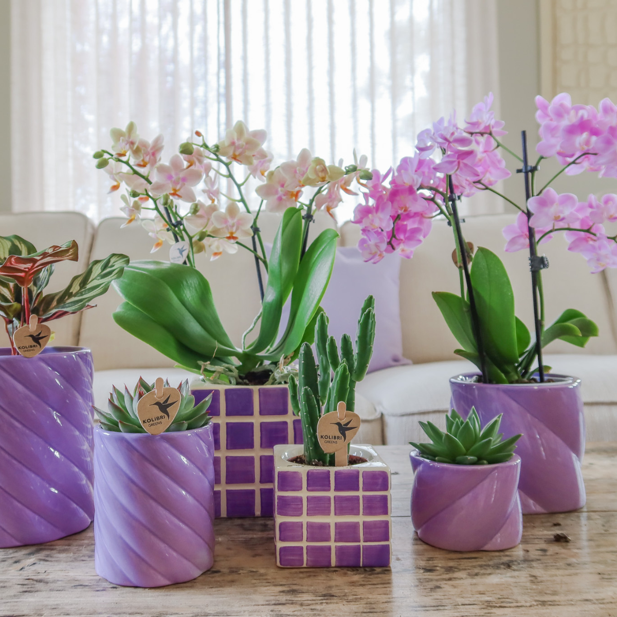 Lilac Cube Canvas Keramiek sierpot Ø9