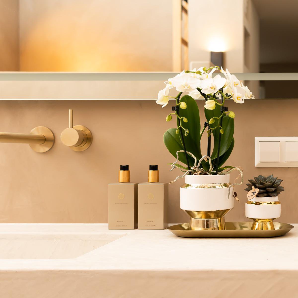 Luxe Set van witte orchidee en Succulent op Gouden dienblad