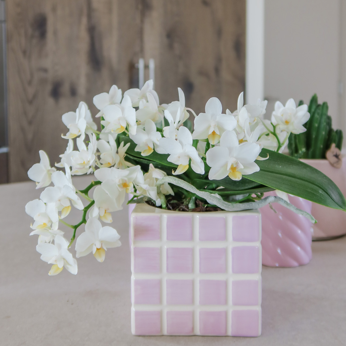 Pink Cube Canvas Keramiek sierpot Ø6cm