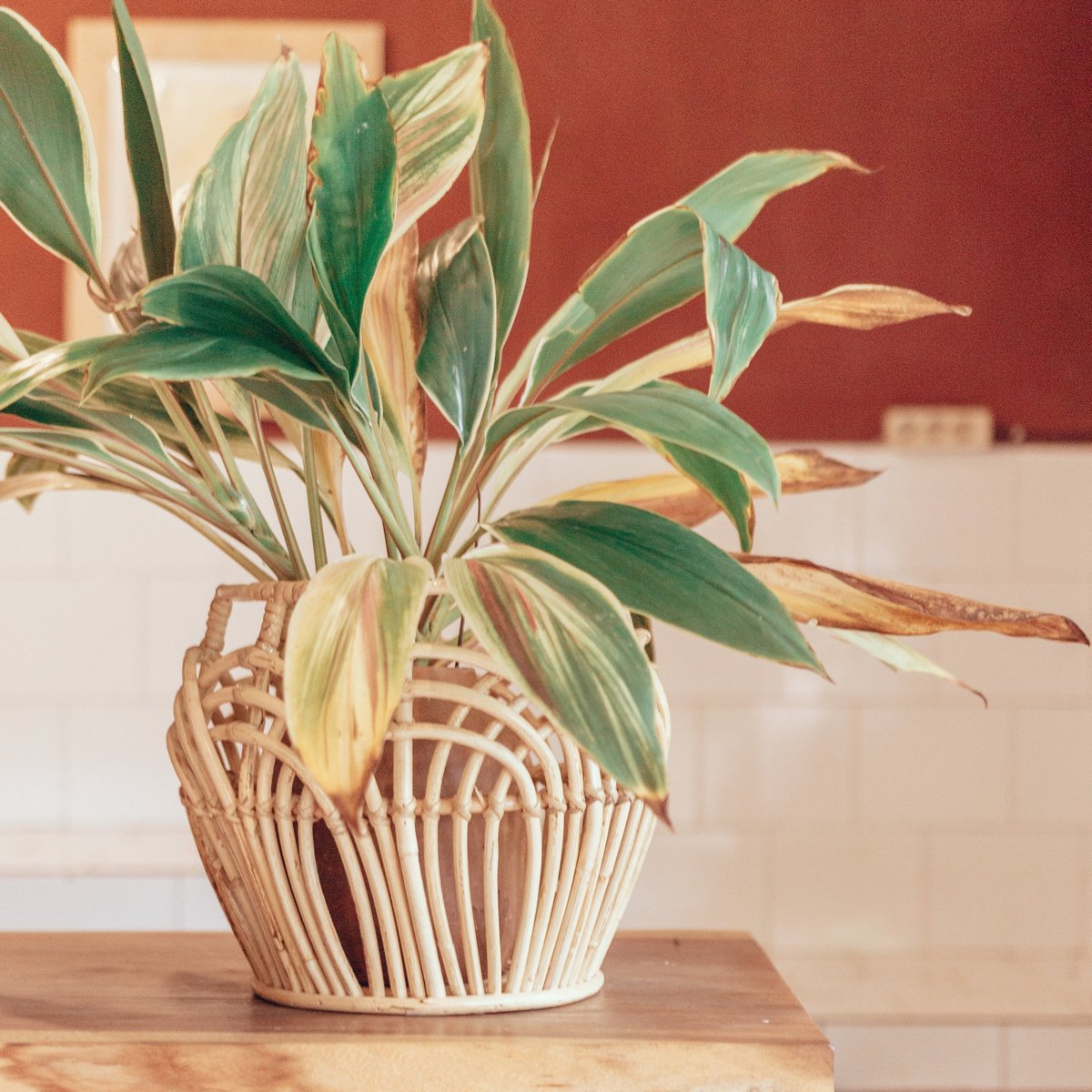 Soul Opbergmand | Plantenmand  van Rotan