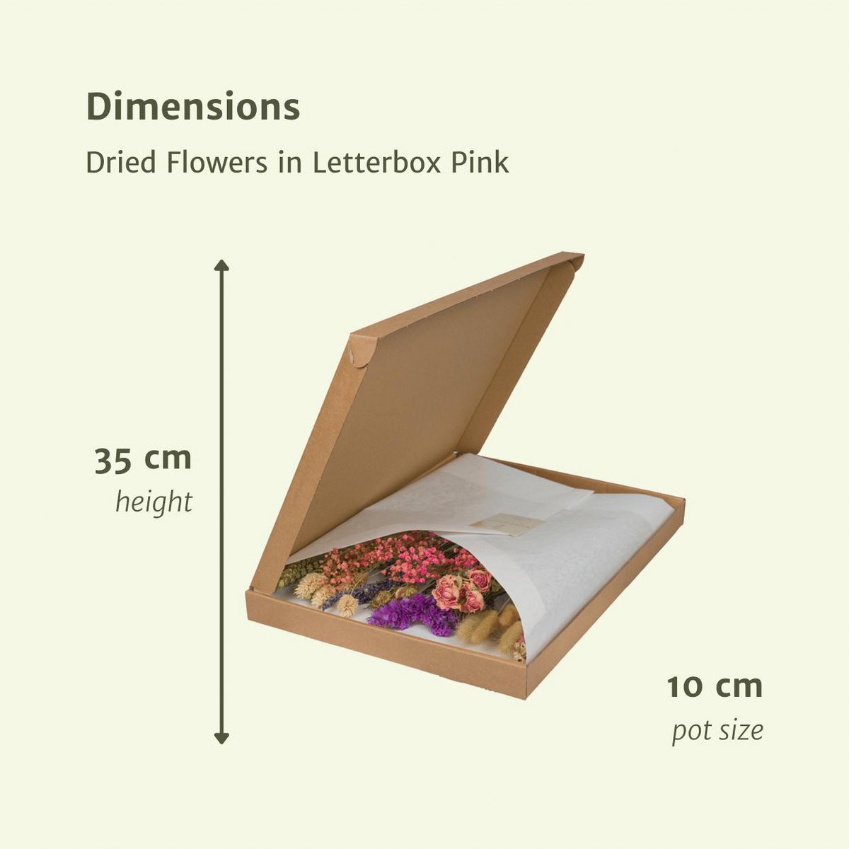 Droogbloemen Brievenbuspakket multi roze
