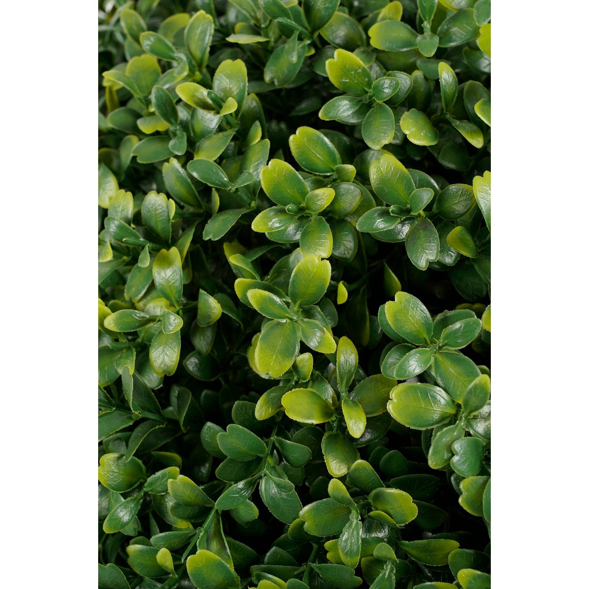 Buxus Kunstplant in Pot H50 x Ø40 cm Groen