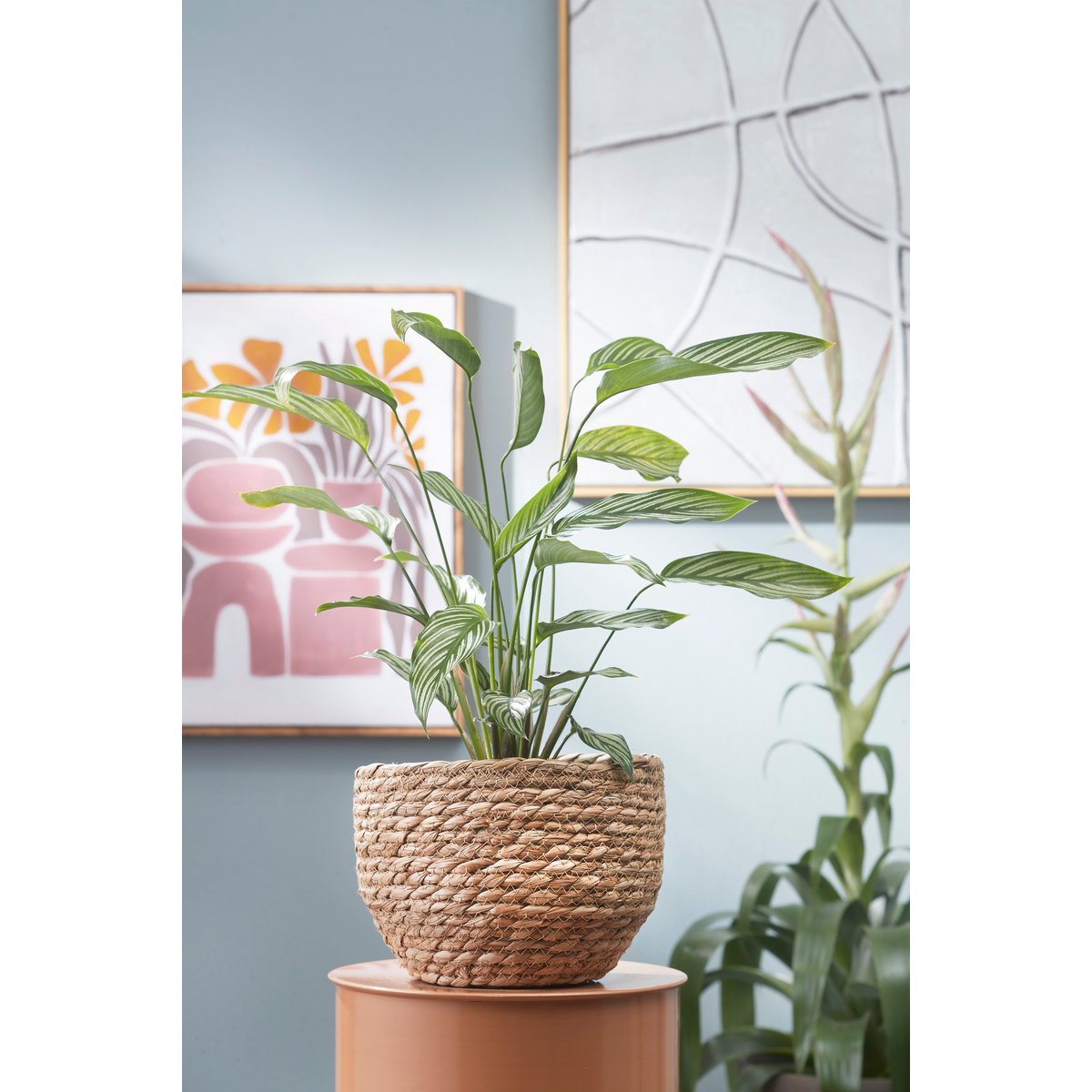 Nila Plantenmand Set van 3 Lichtbruin
