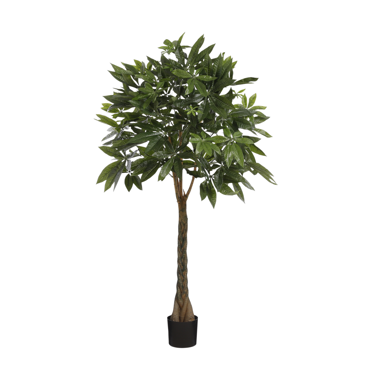 Pachira Kunstplant H120 x Ø50 cm Groen