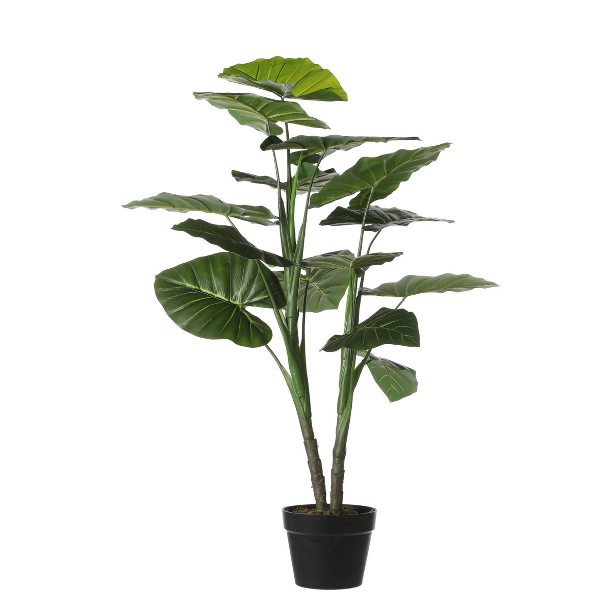Taro Kunstplant H100 x Ø70 cm Groen