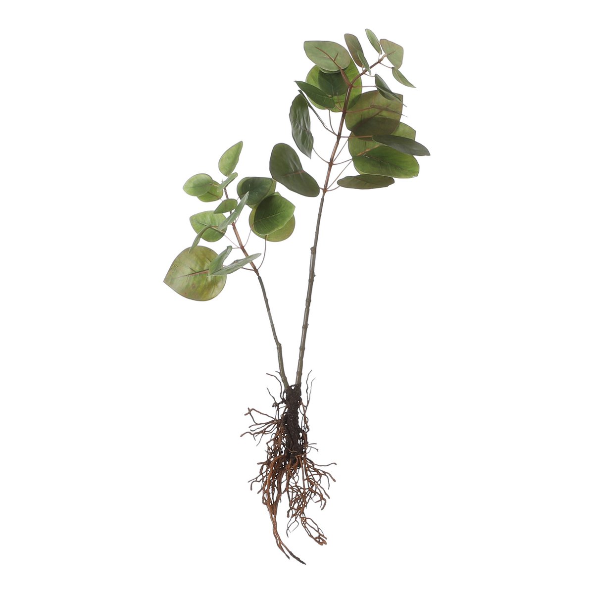 Eucalyptus Kunstplant L12 x B28 x H64 cm Groen