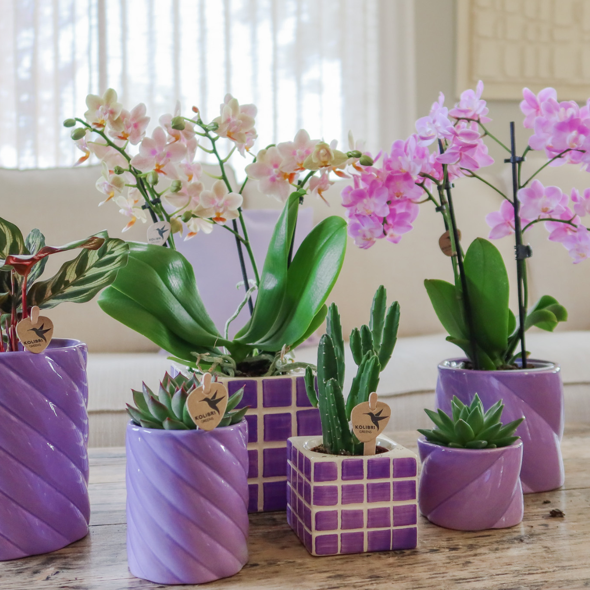 Lilac Cube Canvas Keramiek sierpot Ø6cm