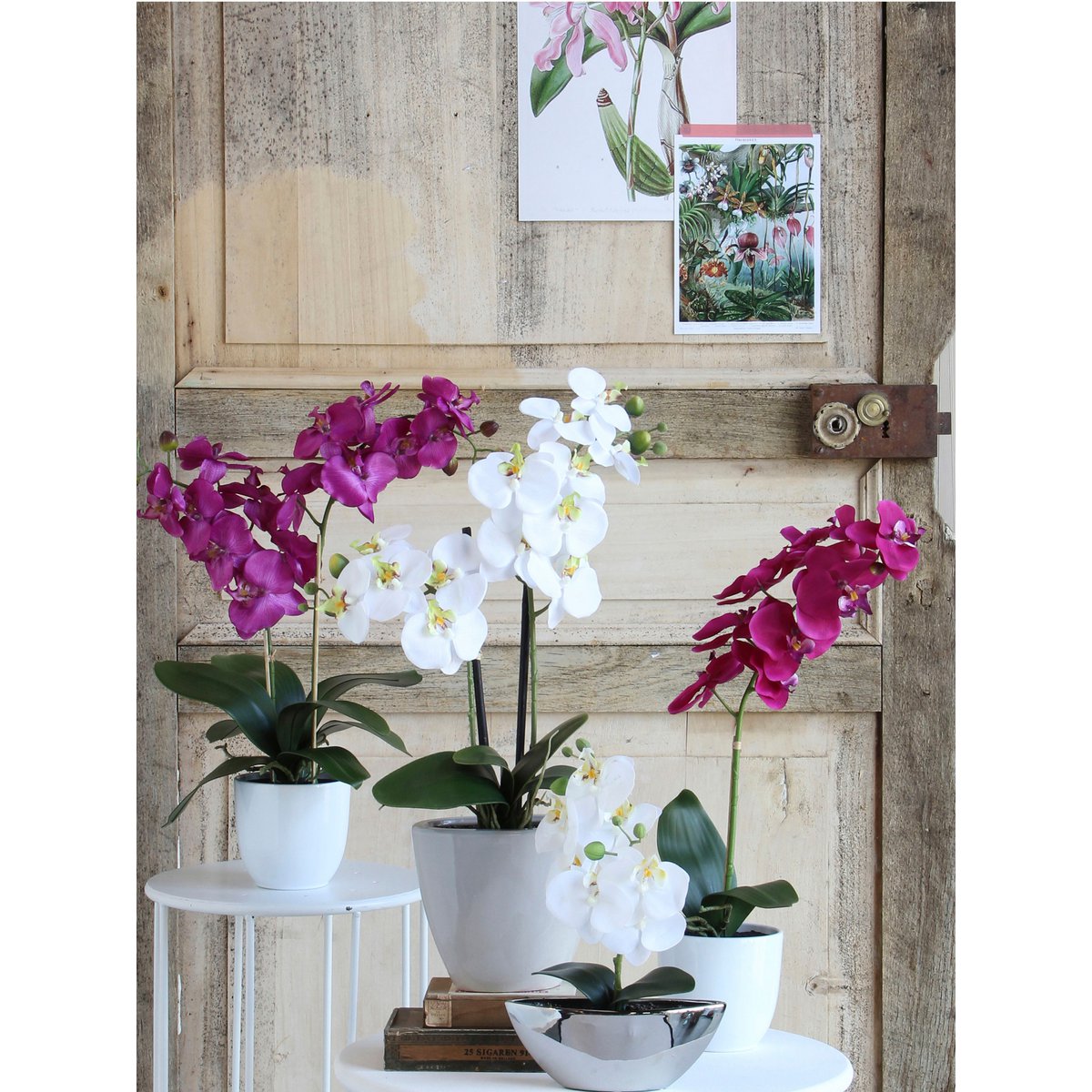 Phalaenopsis Kunstplant in Bloempot Tusca H60 x Ø16 cm Paars