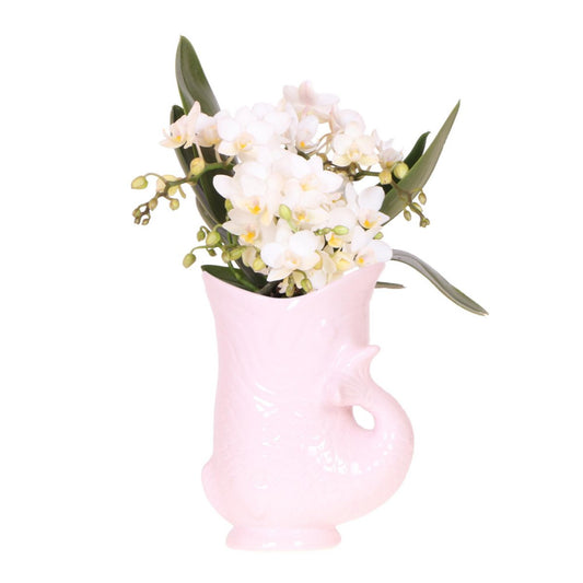 Witte orchidee in Fish pot roze Ø9cm