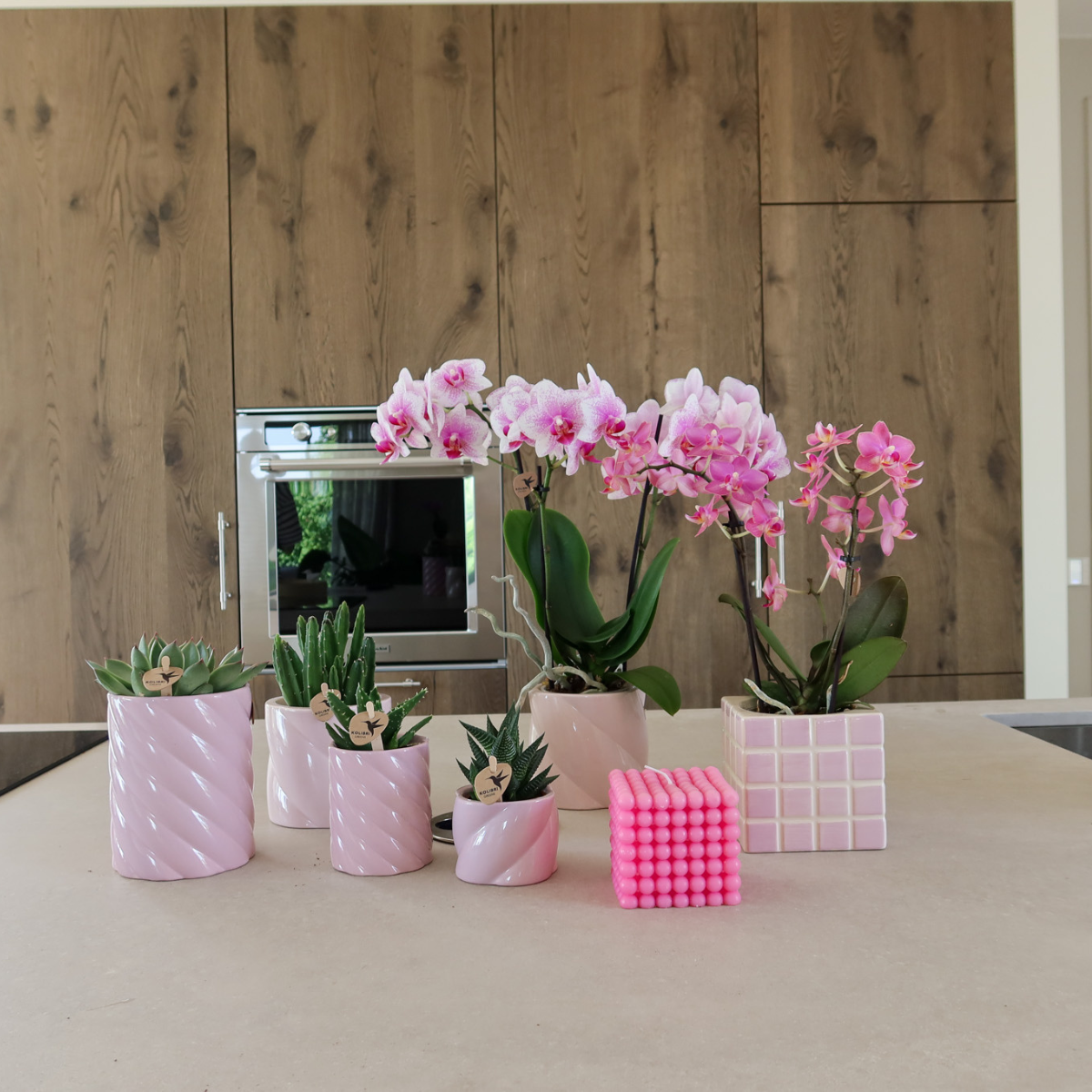 Pink Cube Canvas Keramiek sierpot Ø9cm