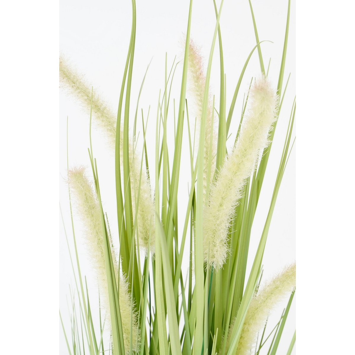 Dogtail Gras Kunstplant H53 x Ø30 cm Groen