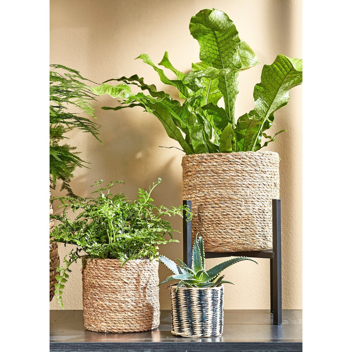 Flora Plantenstandaard XL L38 x B38 x H40cm Metaal Zwart