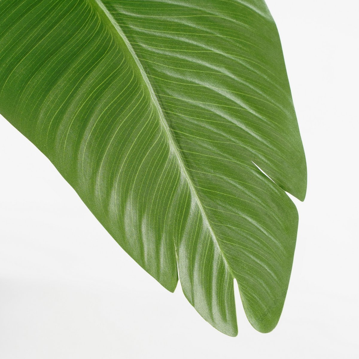 Kunstplant Bananenboom H120 x Ø30 Groen