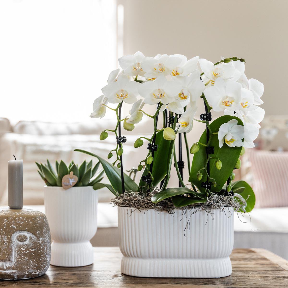 Elegance pot White Keramiek Ø12cm