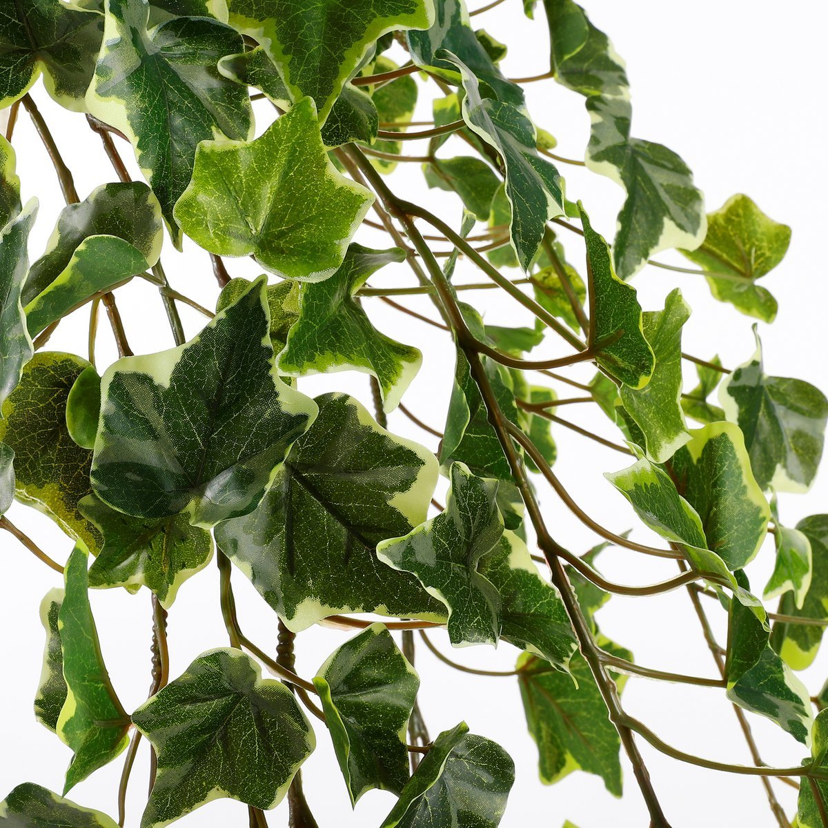 Hedera Kunst Hangplant H129 cm Groen Bont