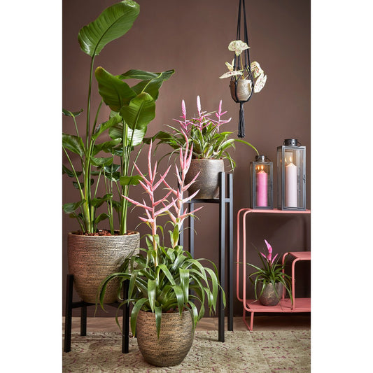 Flora Plantenstandaard XL L38 x B38 x H95 cm Metaal Zwart