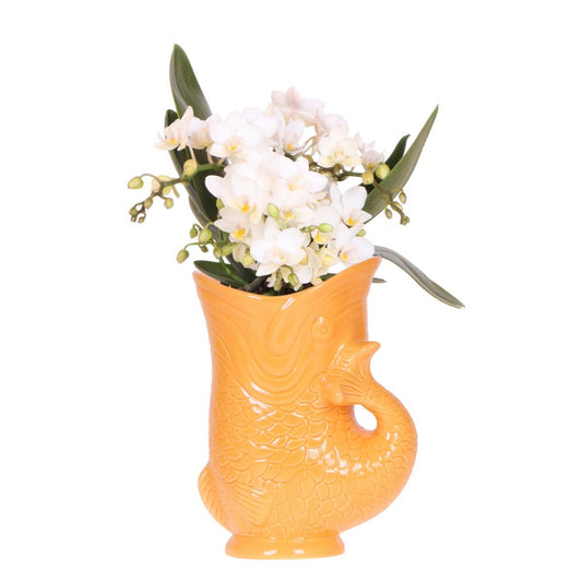 Witte orchidee in Vis sierpot oranje Ø9cm