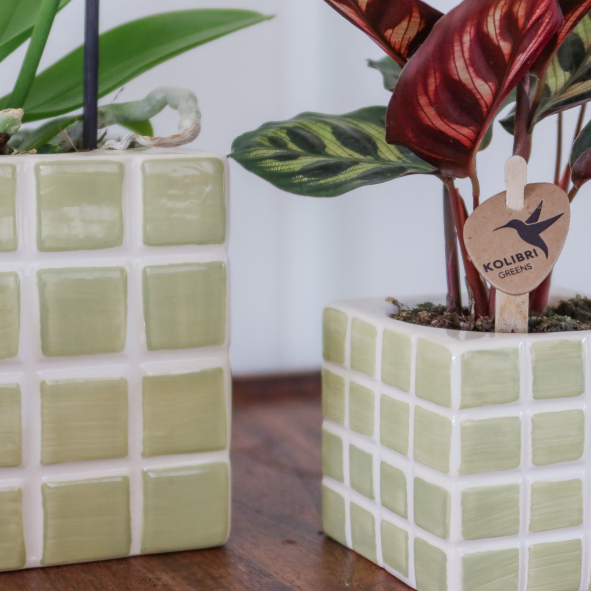 Green Cube Canvas Keramiek sierpot Ø6cm