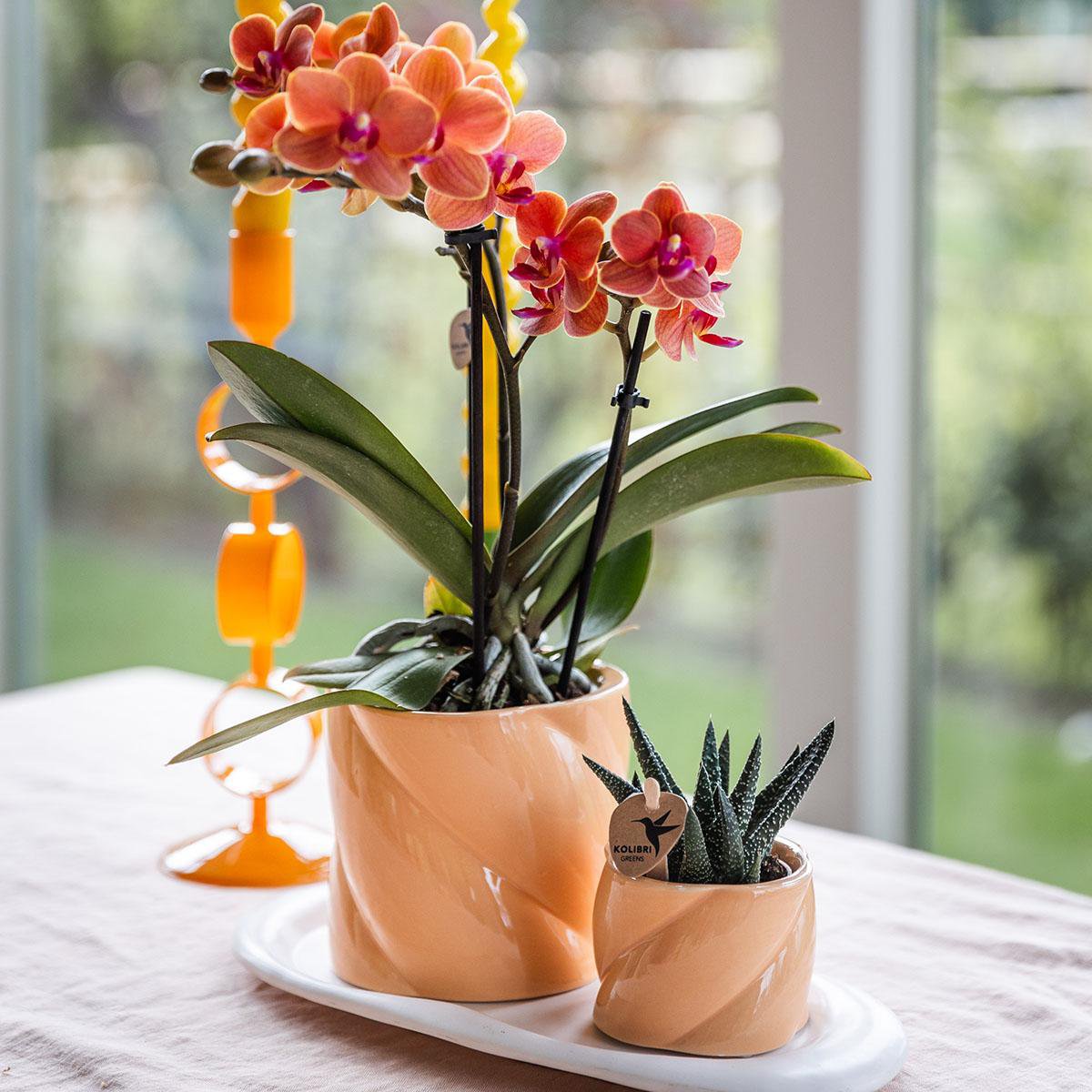 Gift set Sunny Bliss Small Peach