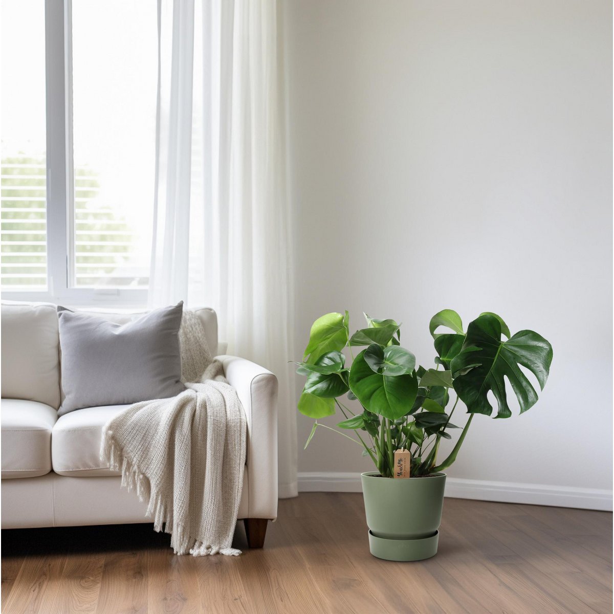 Monstera in rotan Look Siermand Ø21cm - ↕60 cm
