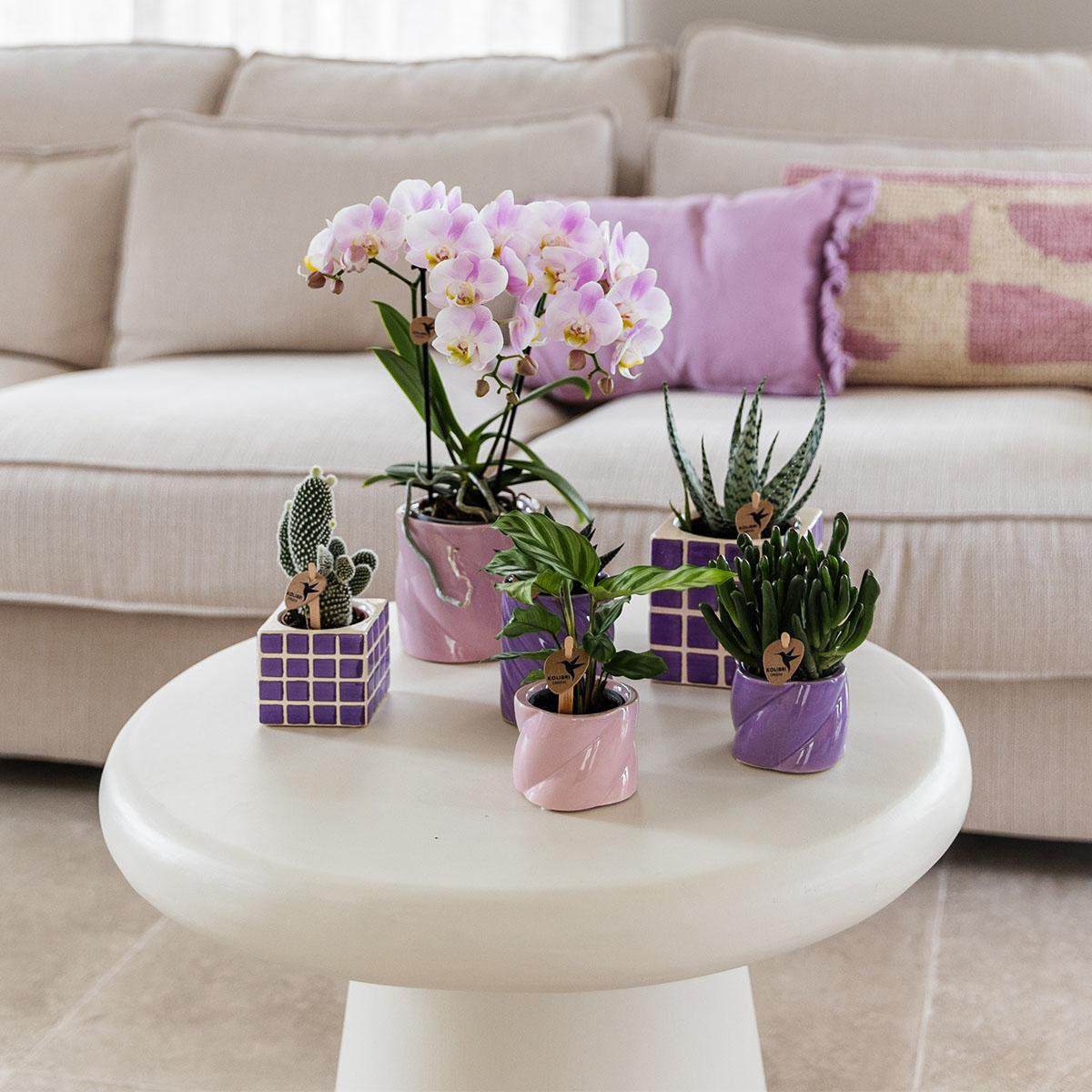 Lilac Cube Canvas Keramiek sierpot Ø9