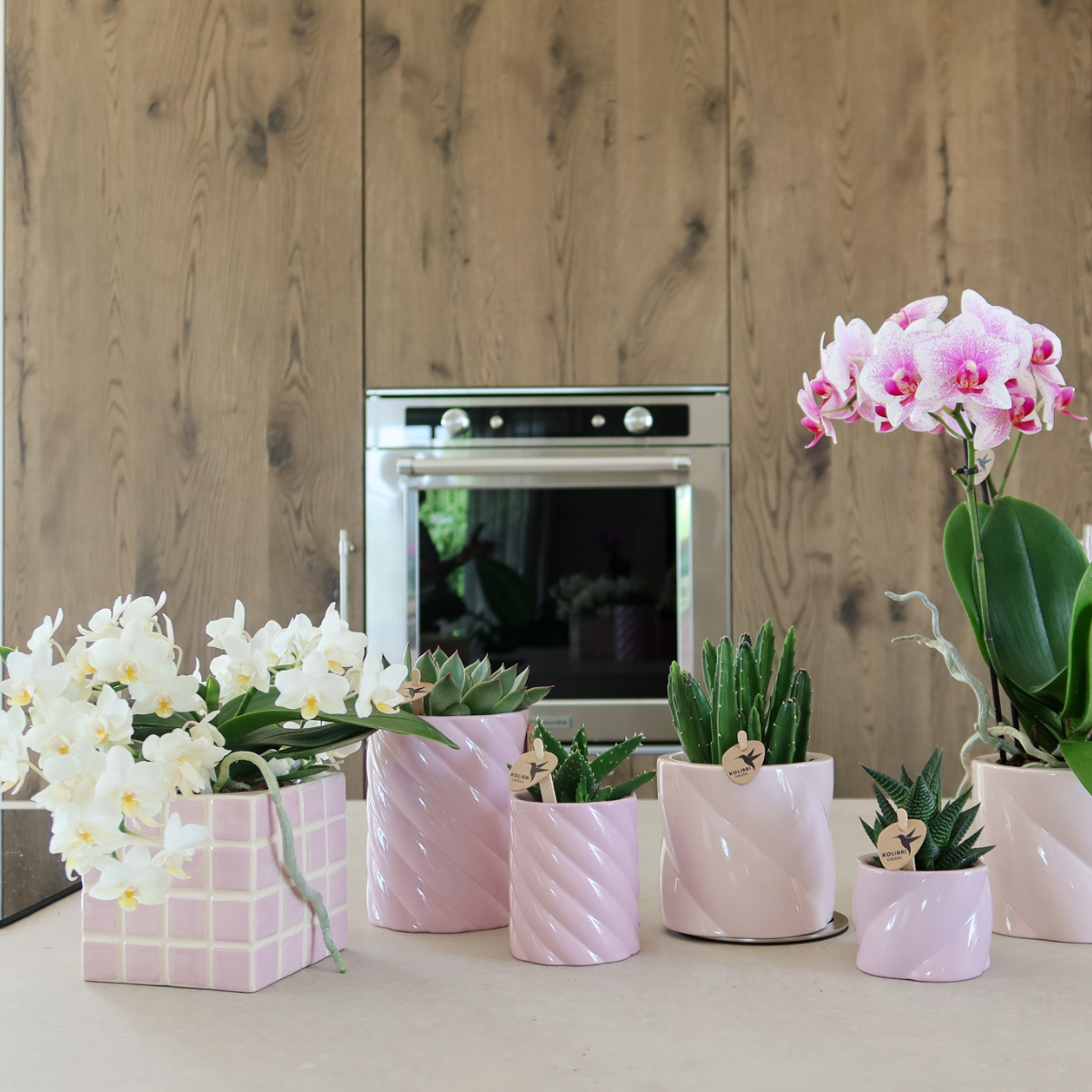 Pink Cube Canvas Keramiek sierpot Ø9cm