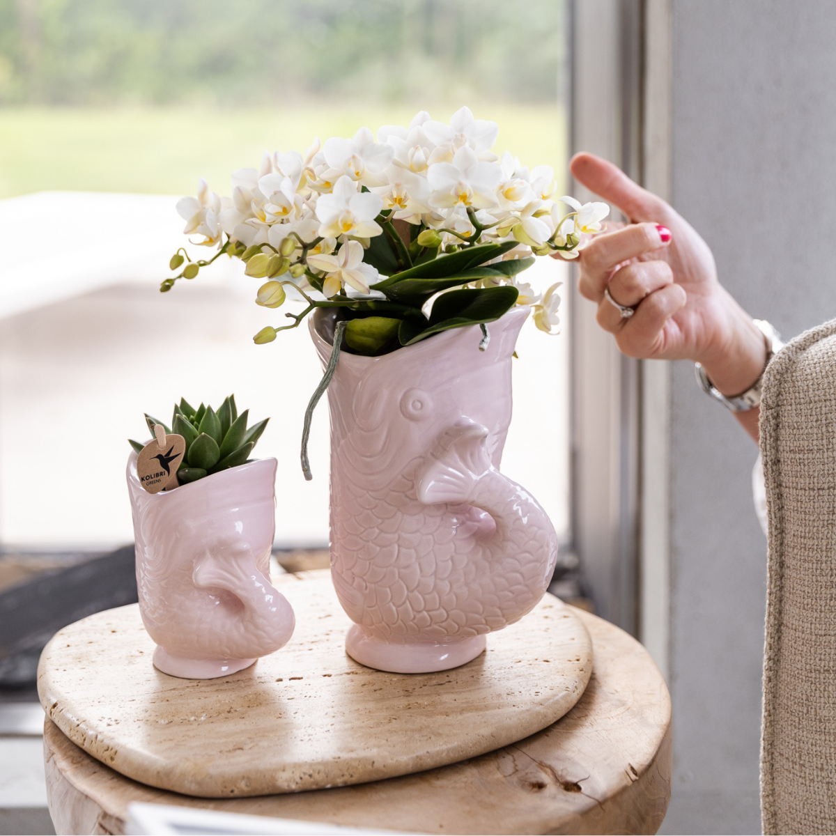 Witte orchidee in Fish pot roze Ø9cm