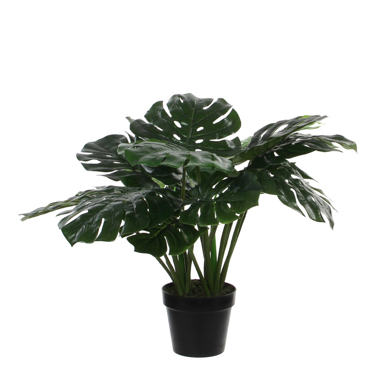 Monstera Kunstplant H60 x Ø80 cm Groen