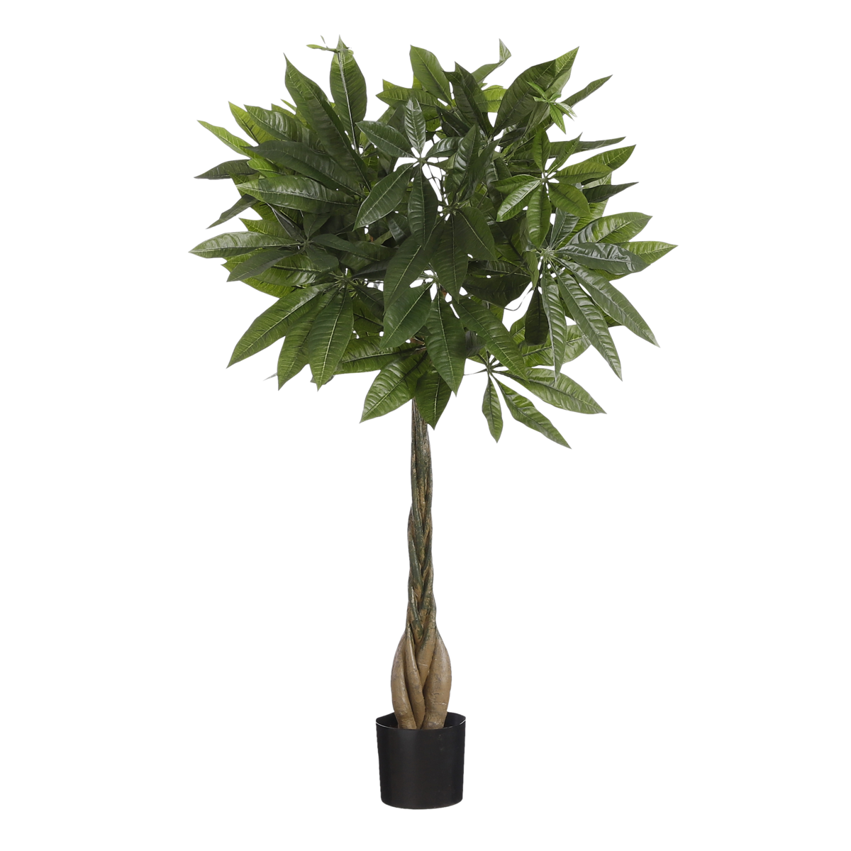 Pachira Kunstplant H80 x Ø60 cm Groen