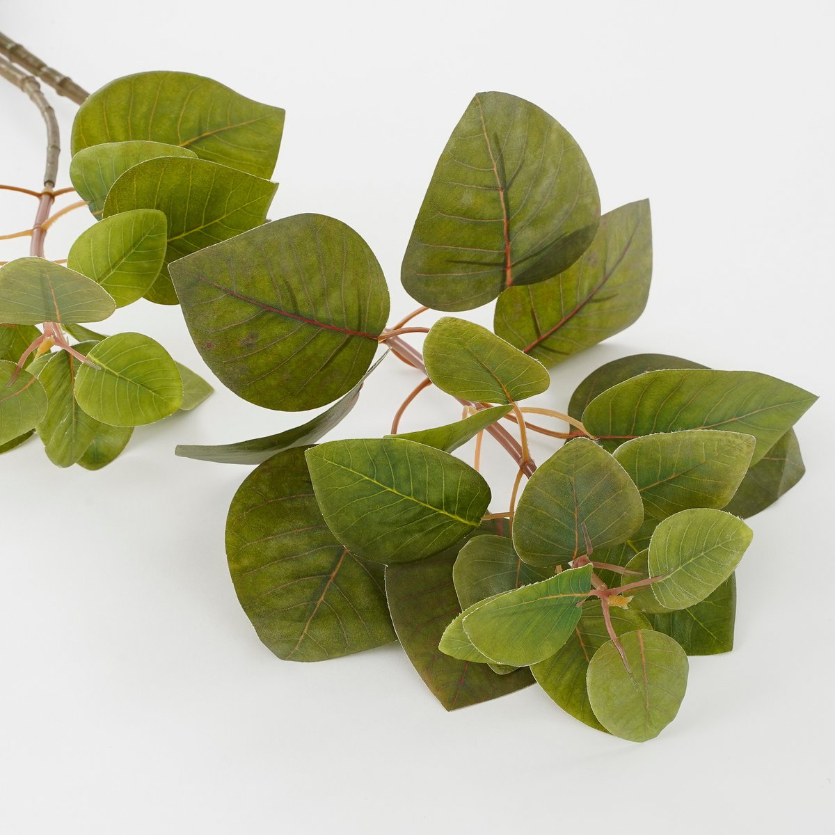 Eucalyptus Kunstplant L12 x B28 x H64 cm Groen