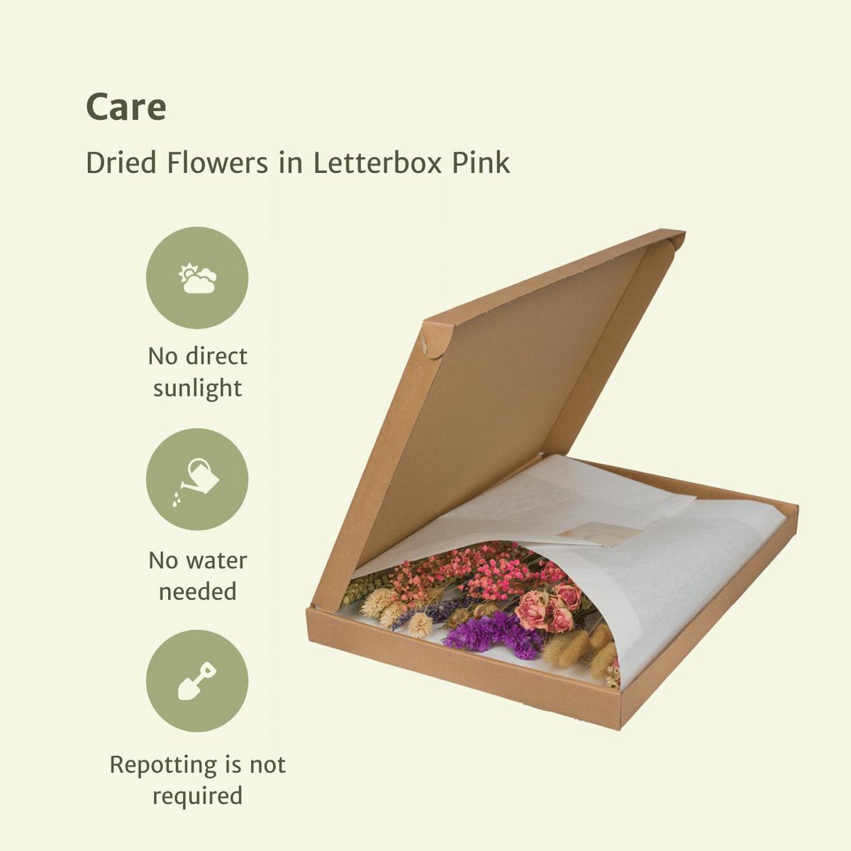 Droogbloemen Brievenbuspakket multi roze