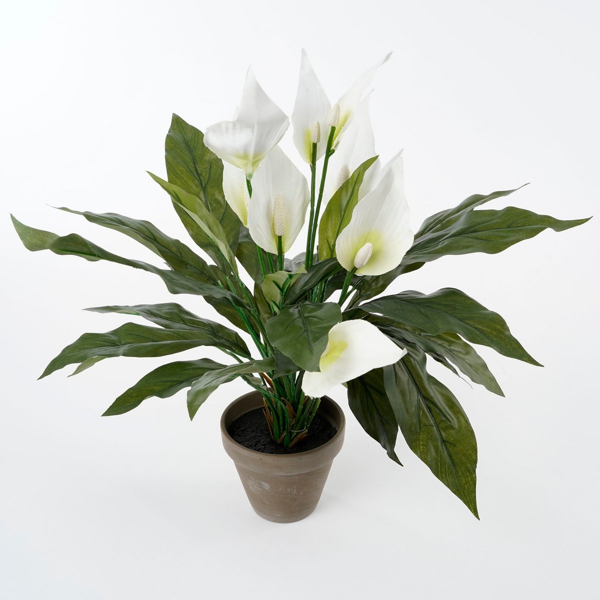 Spathiphyllum Kunstplant in Bloempot Stan H50 x Ø40 cm Wit